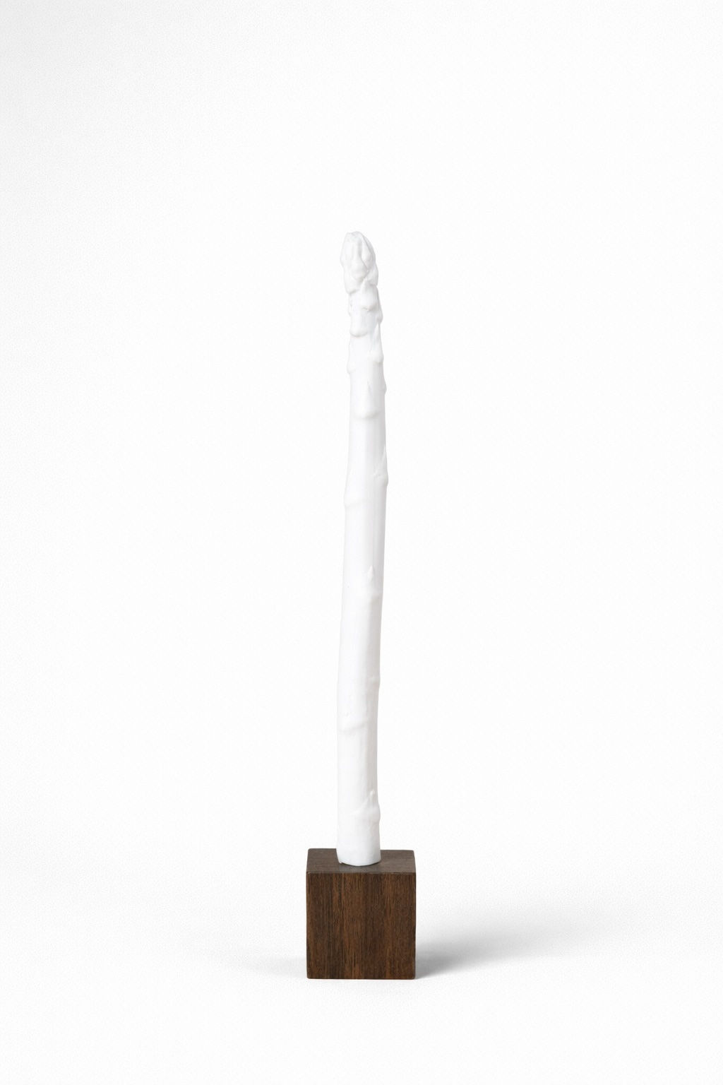 Jeremie Thircuir, Asparagus 1, 2024