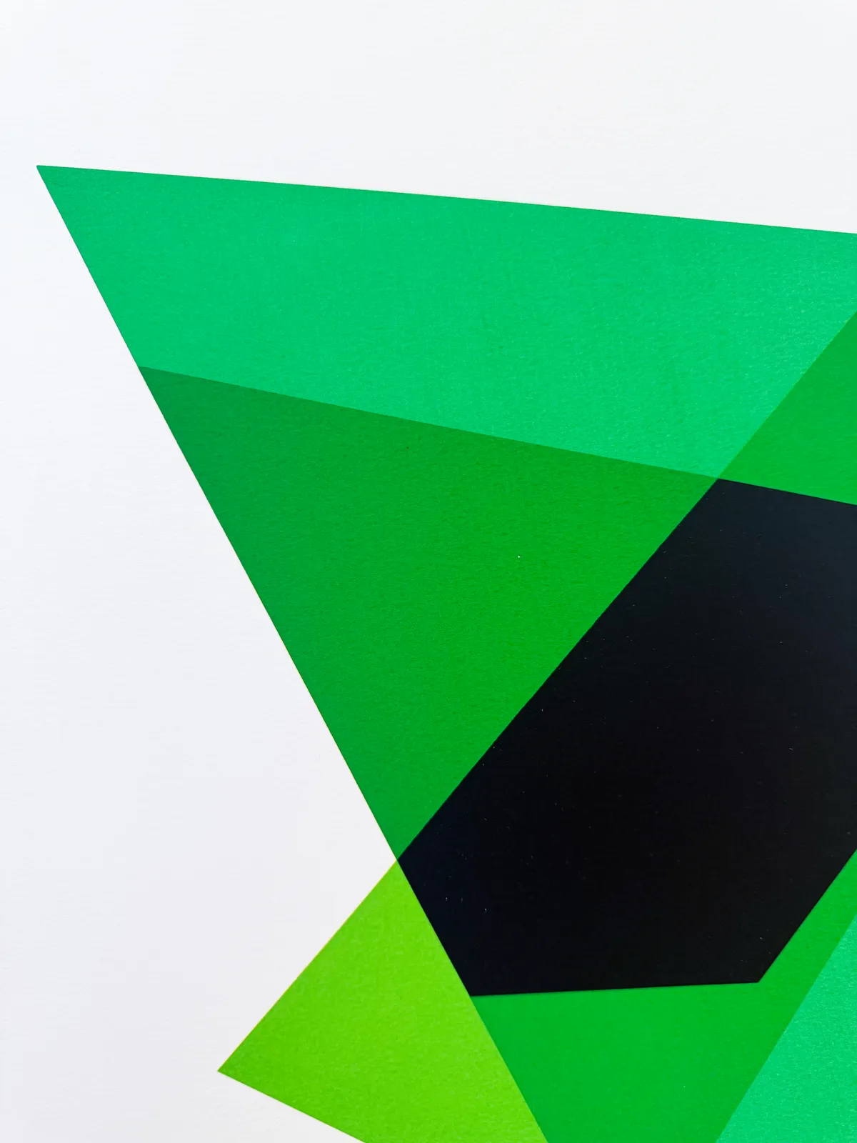 Willard Boepple, Lean to # 5, 2024