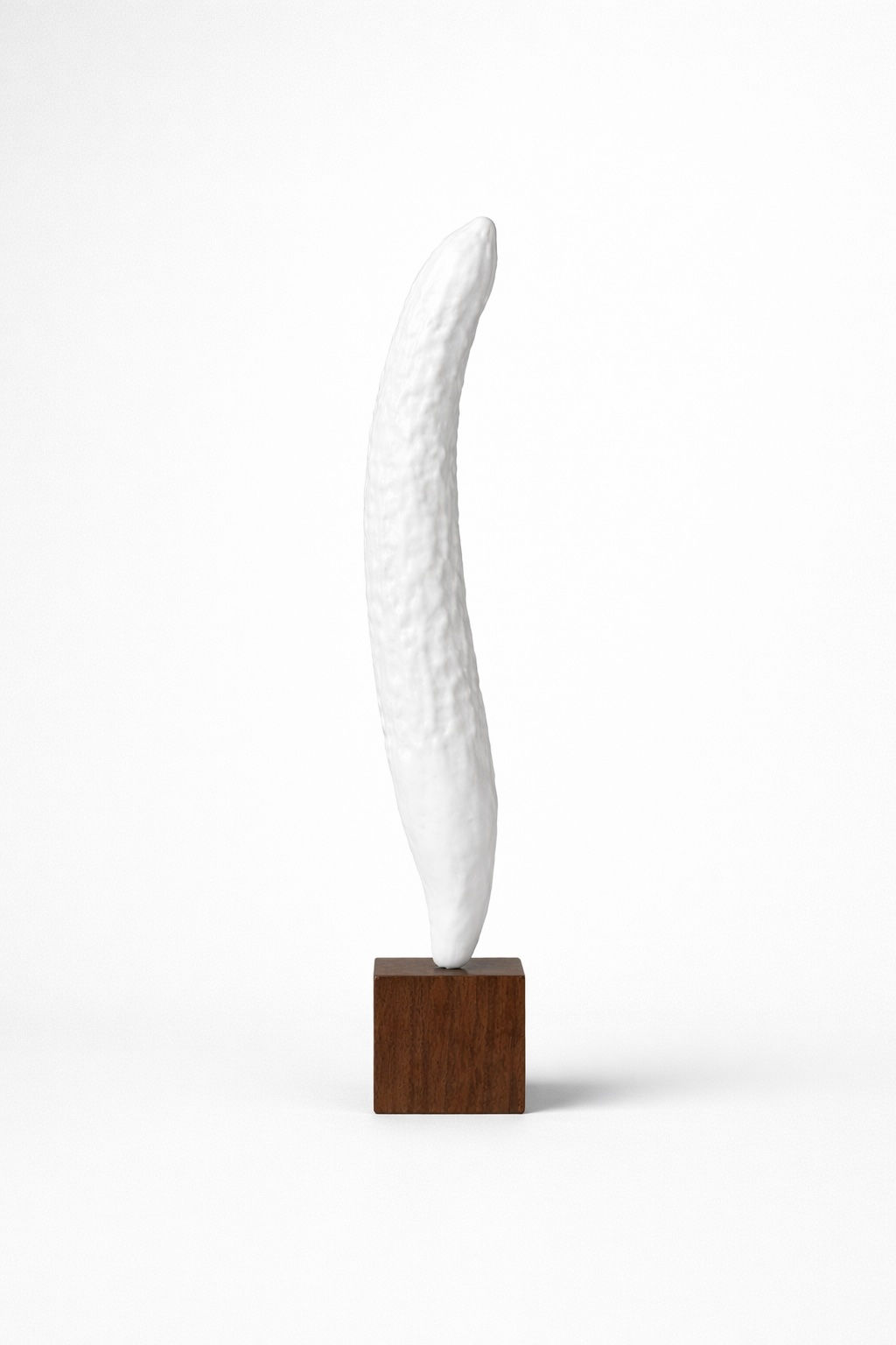 Jeremie Thircuir, Cocumer 2 , 2023