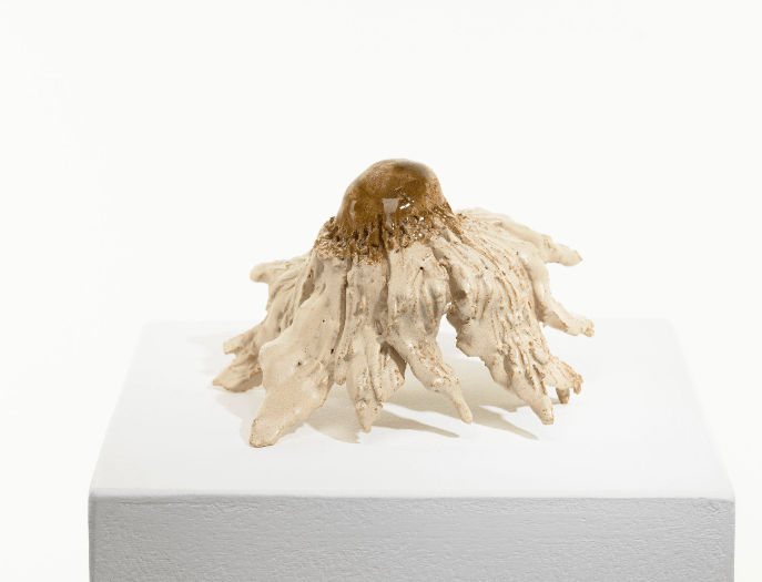 Diane Chappalley, Anxious Flower , 2022