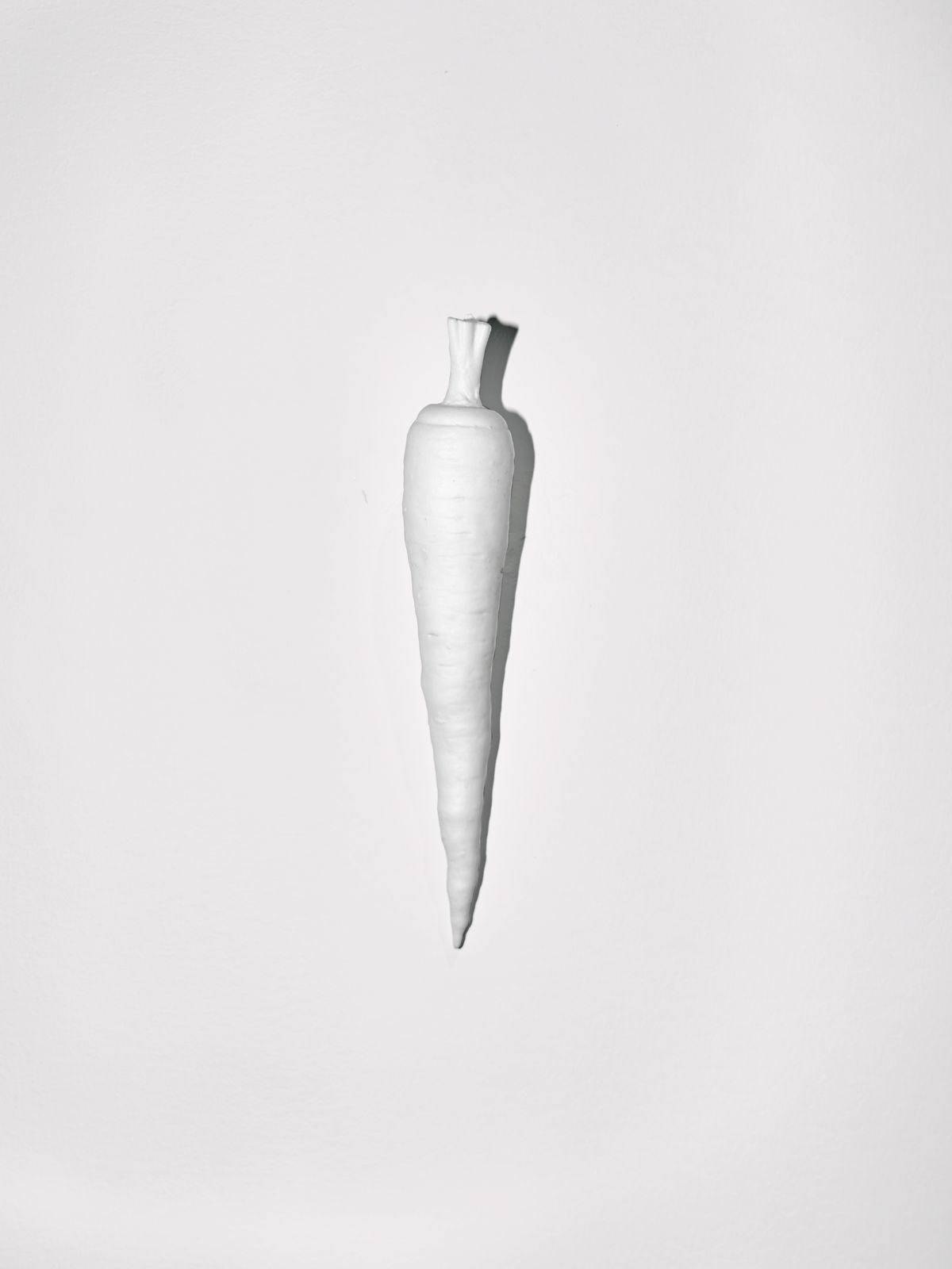 Jeremie Thircuir, Wall Carrot, 2023