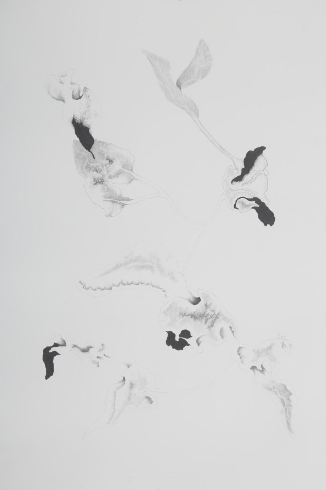 Apnavi Makanji, Untitled, 2018