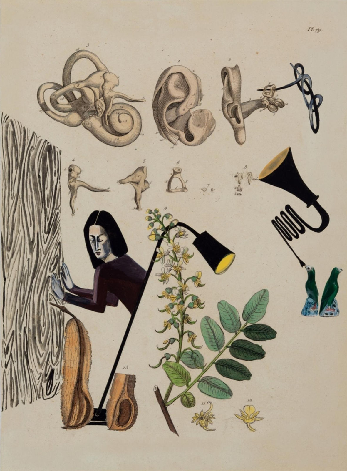 Anju Dodiya, Concave/Convex, 2014