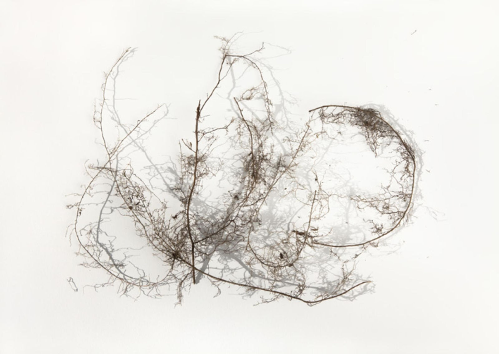 Juul Kraijer, Untitled, 2013