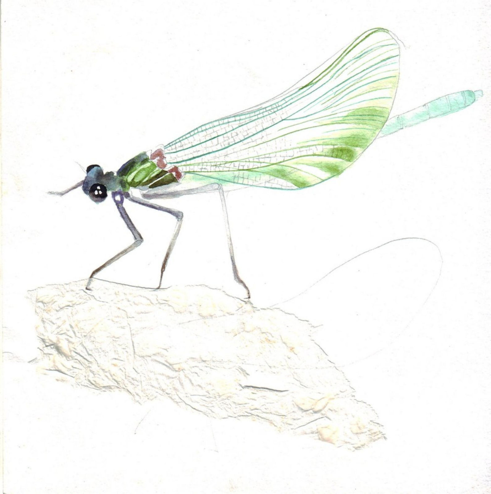 Pranati Panda, Weaving Land, 2017