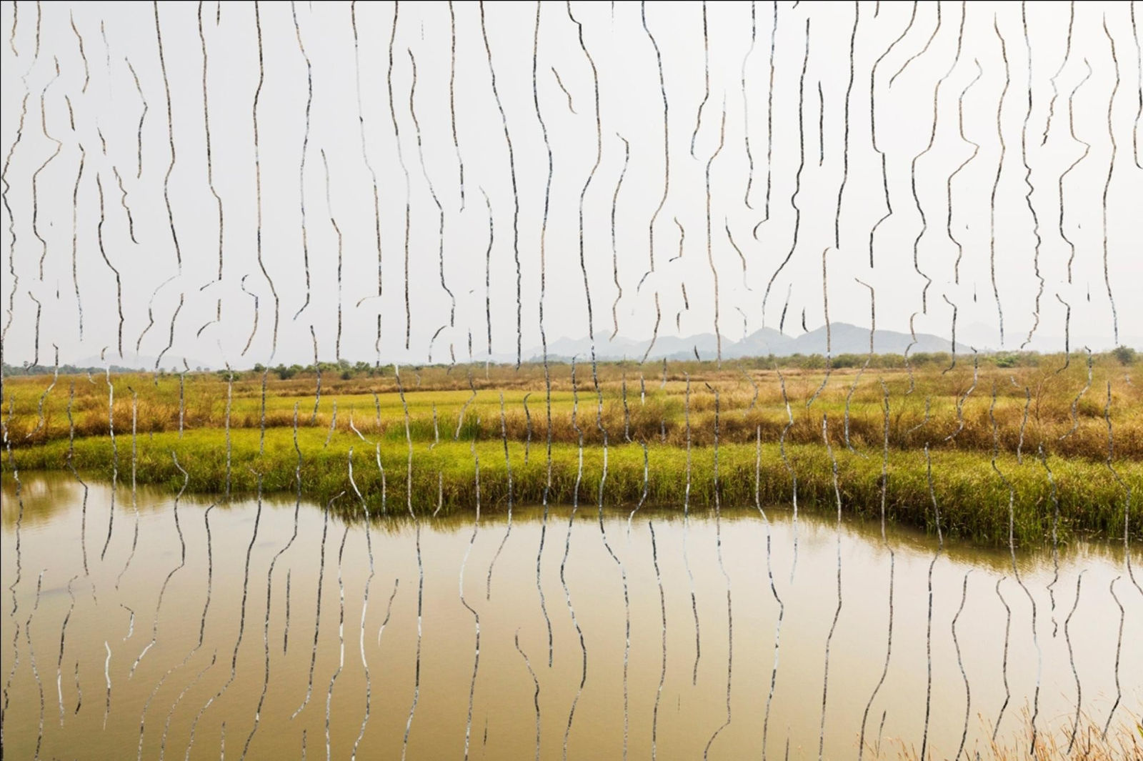 Atul Bhalla, Vaitarni Crossing - I (Edition 1 of 3)