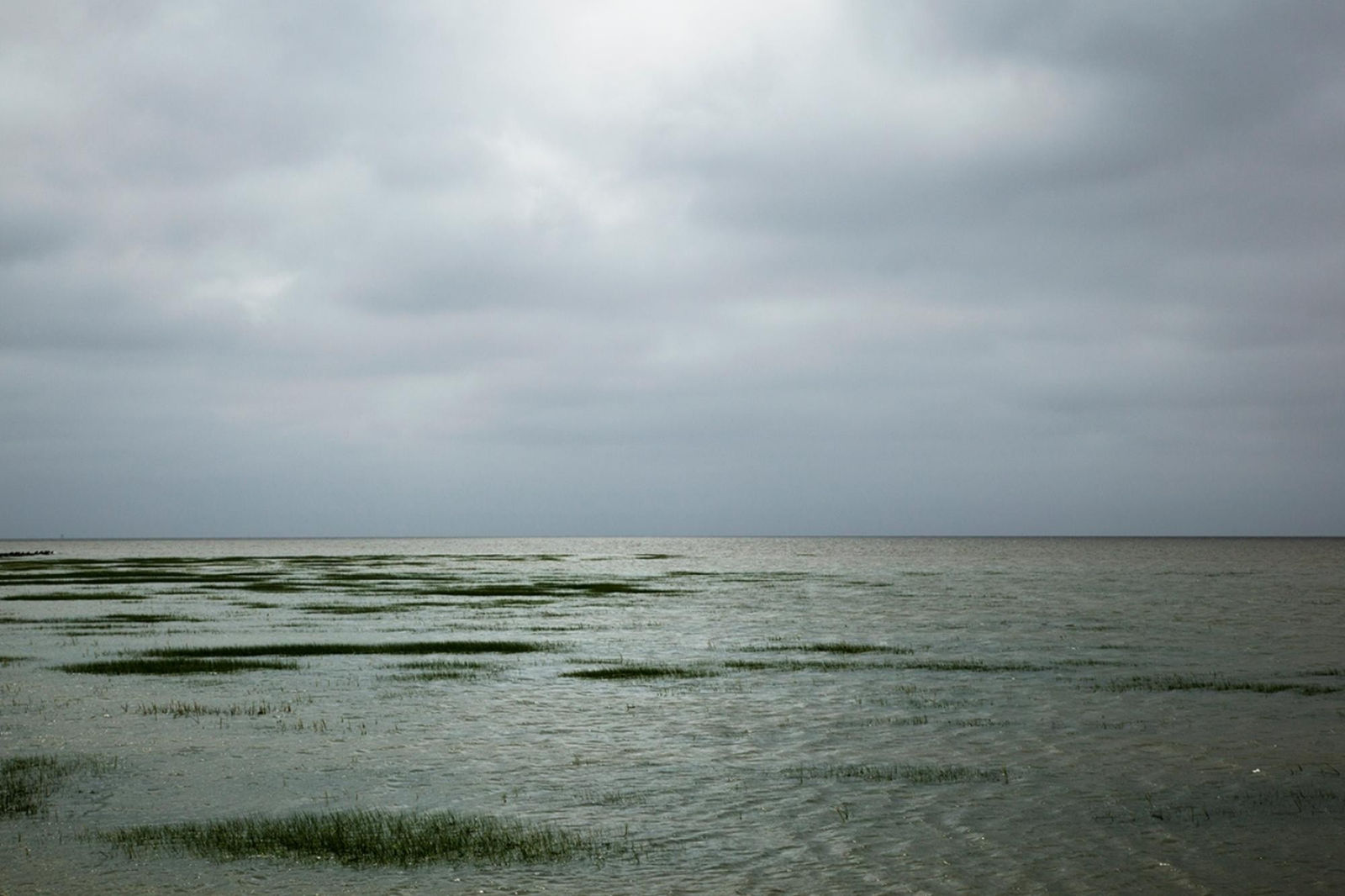 Atul Bhalla, Inundation -I, 2012