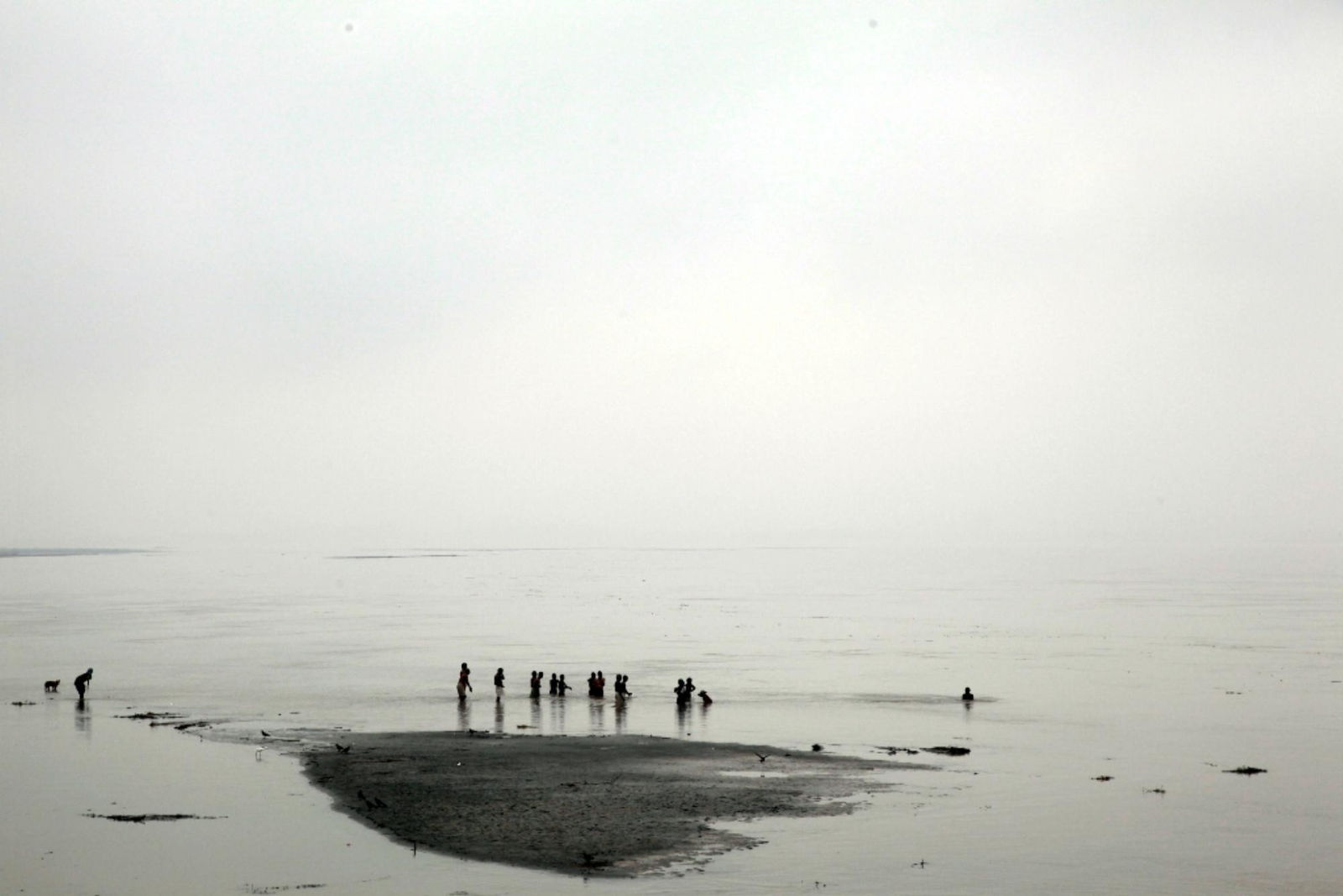 Atul Bhalla, Occupy, 2014