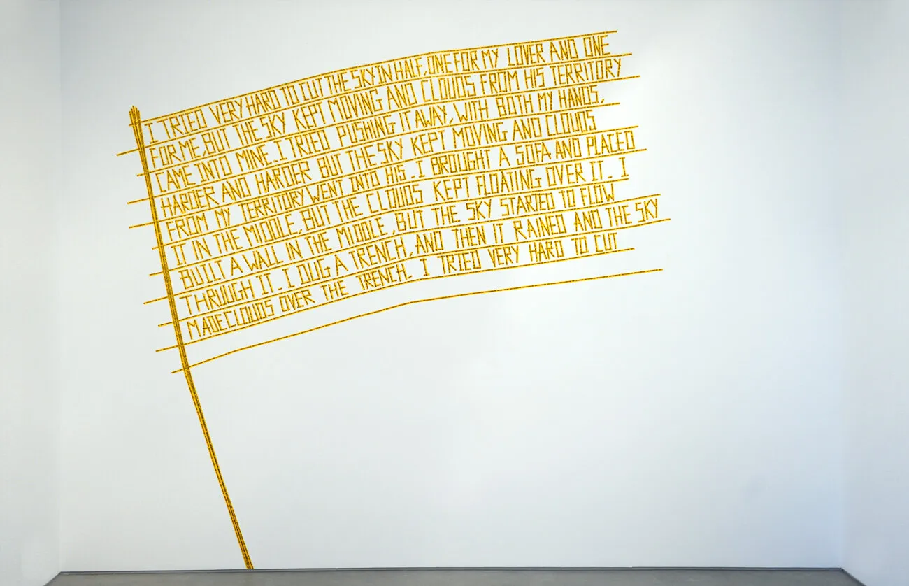 Shilpa Gupta, There Is No Border here , 2005 - 2006