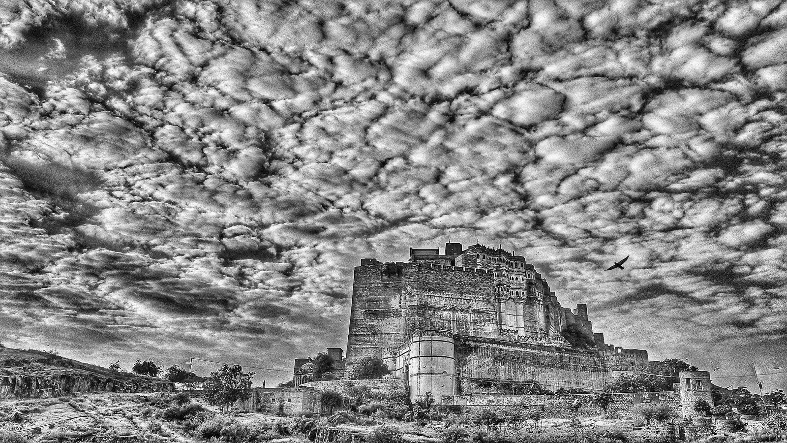 William Dalrymple, Early morning, Mehrangarh Fort,Jodhpur II