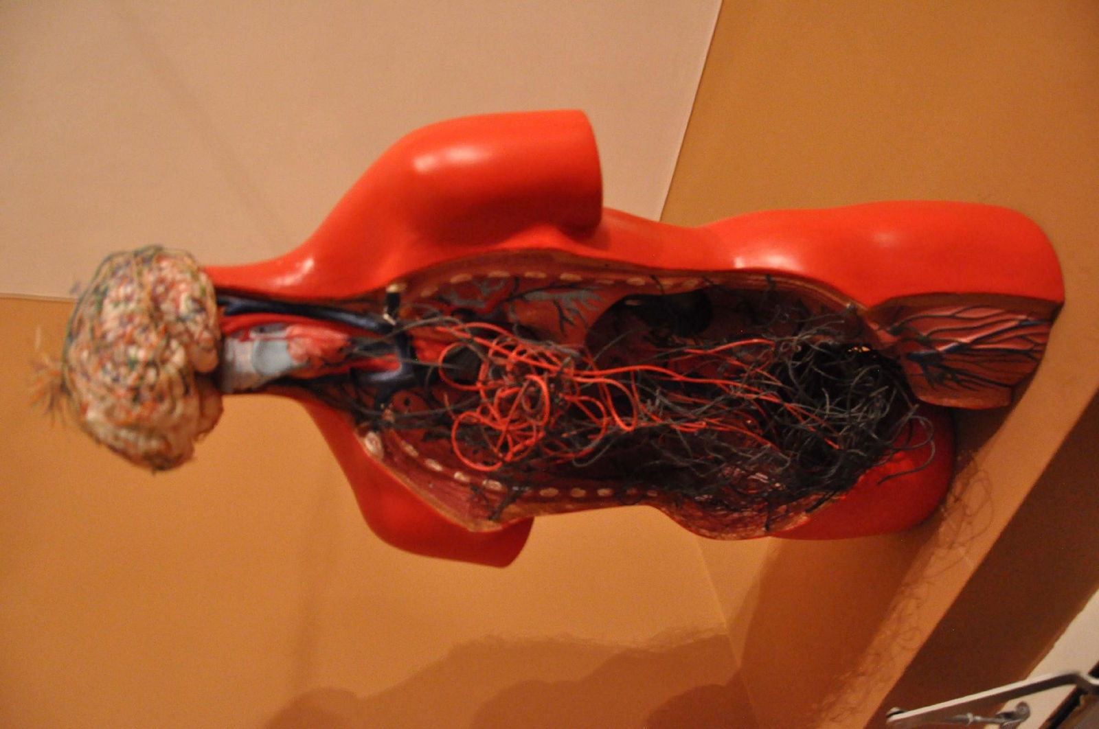 Vivan Sundaram, Wired Torso, 2013