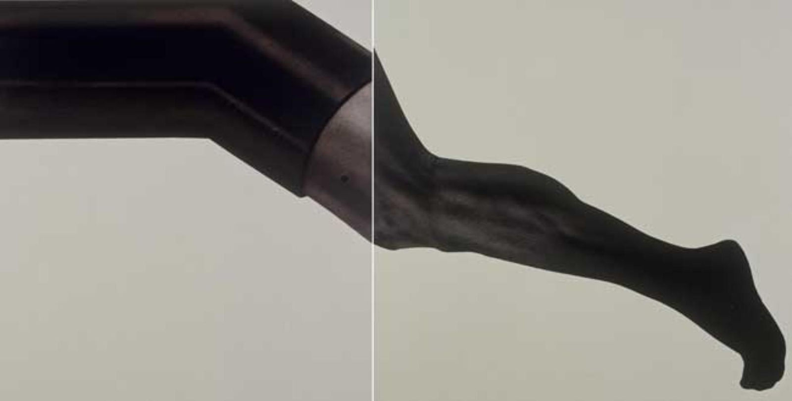 Rameshwar Broota, Untitled, 2006