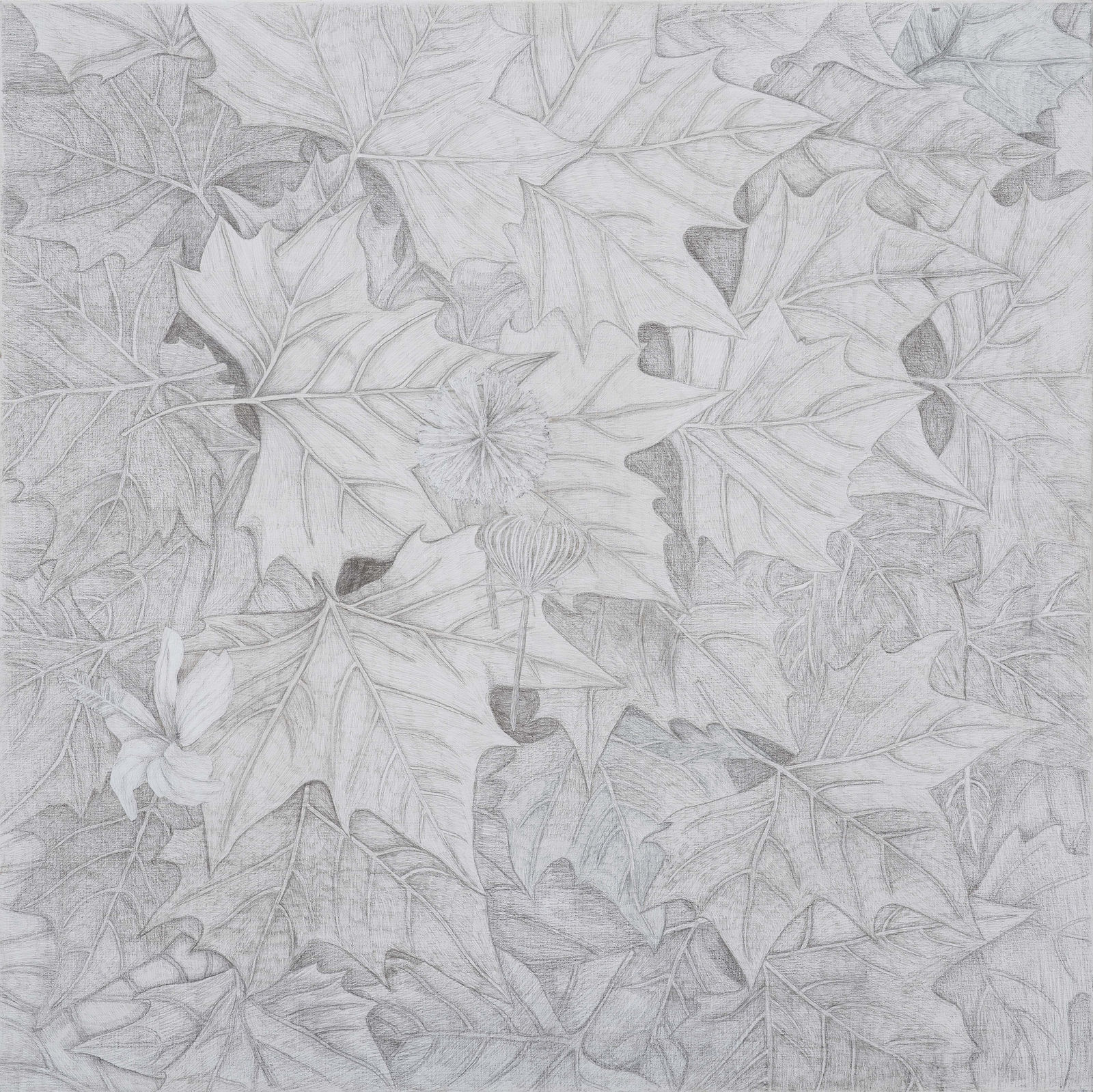 Praneet Soi, Chinar Leaves, 2021