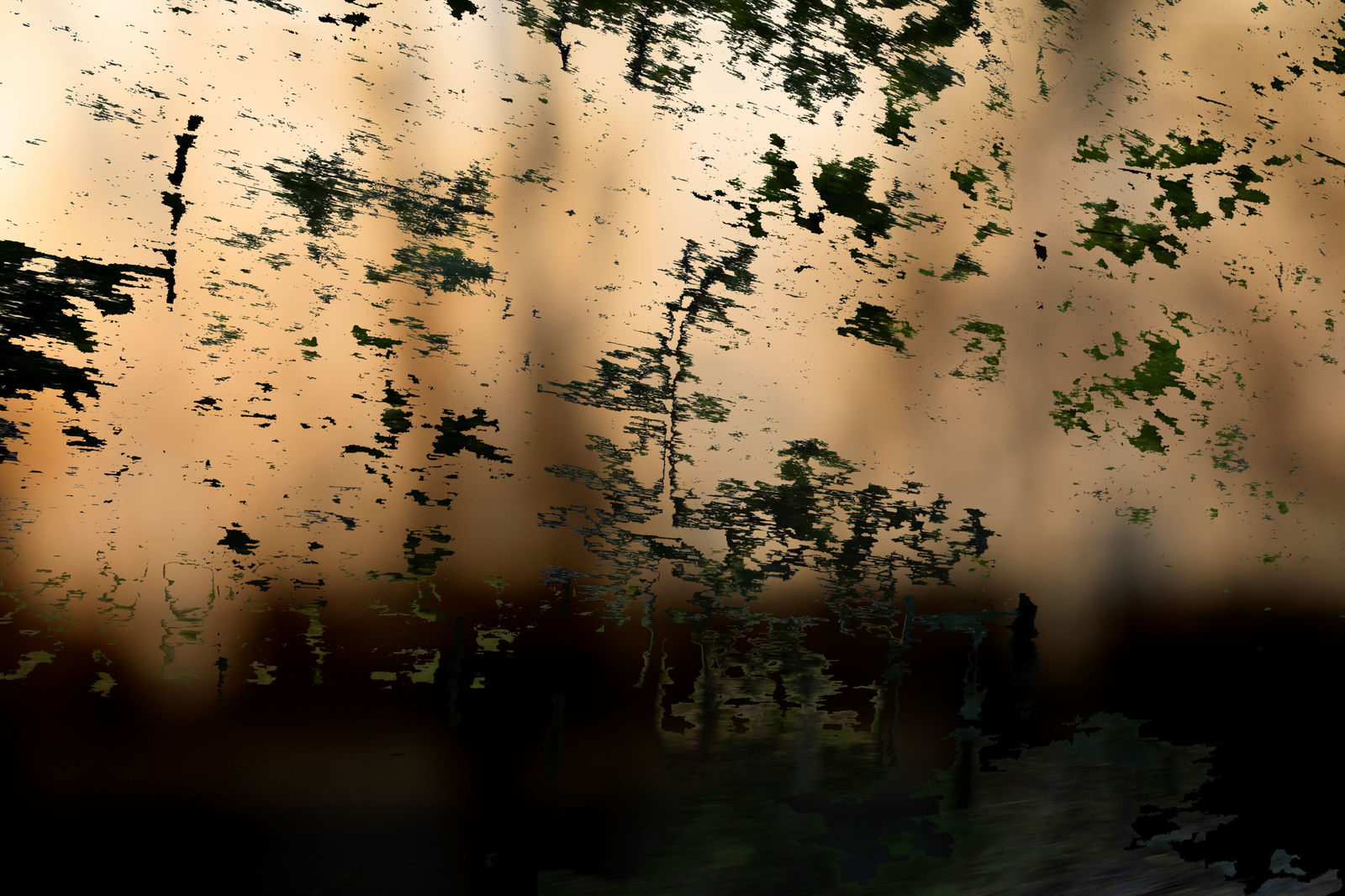 Atul Bhalla, Untitled, 2023