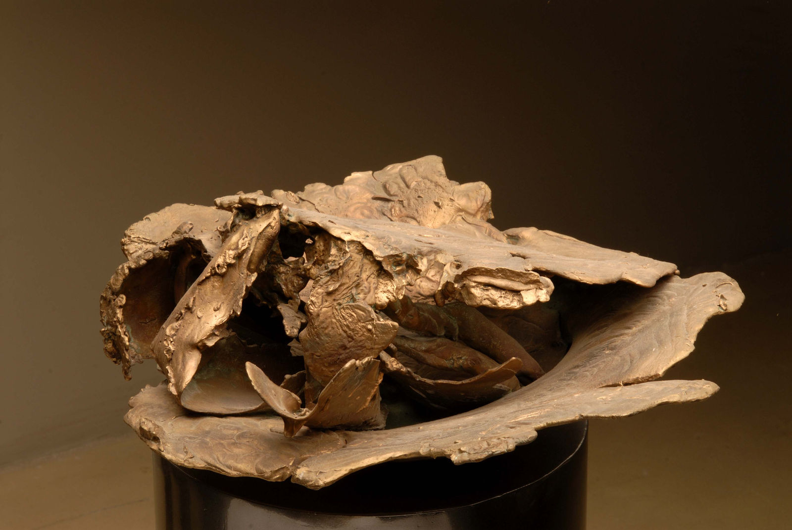 Mrinalini Mukherjee, Nucleus-VIII, 2006