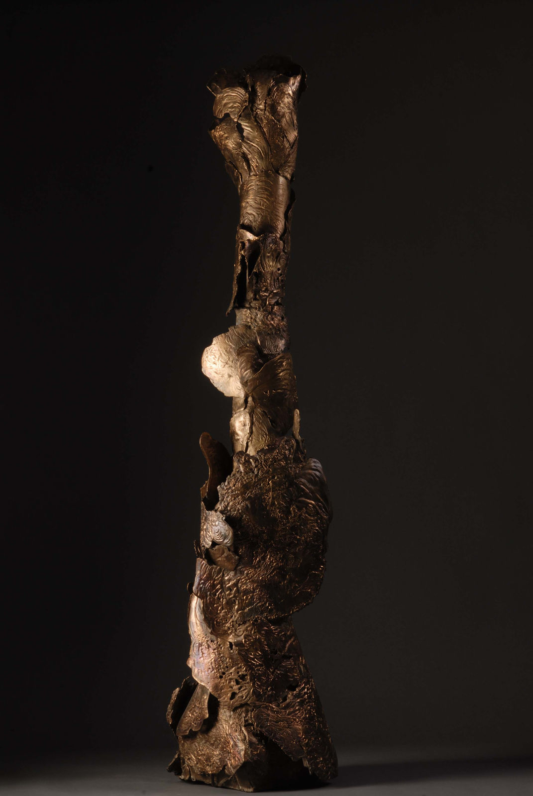 Mrinalini Mukherjee, Emergent -I, 2006