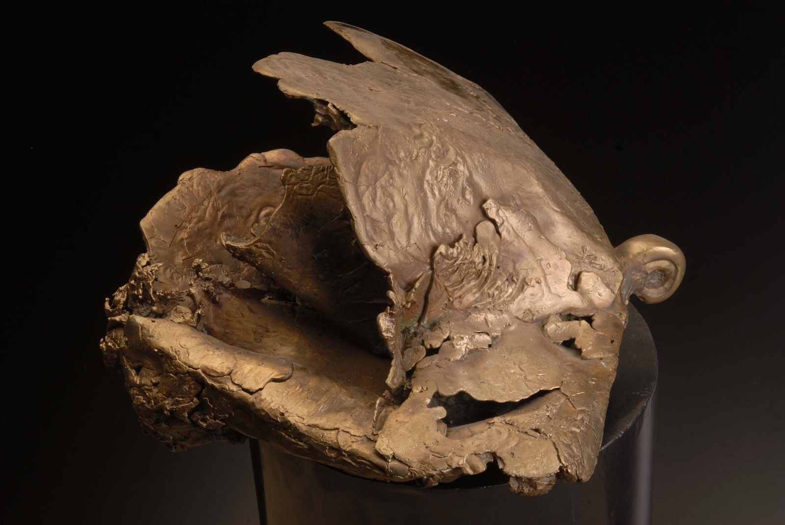 Mrinalini Mukherjee, Nucleus-XII, 2006