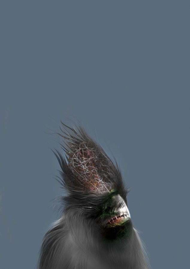 Moonis Shah, The Birds are Coming, 2017