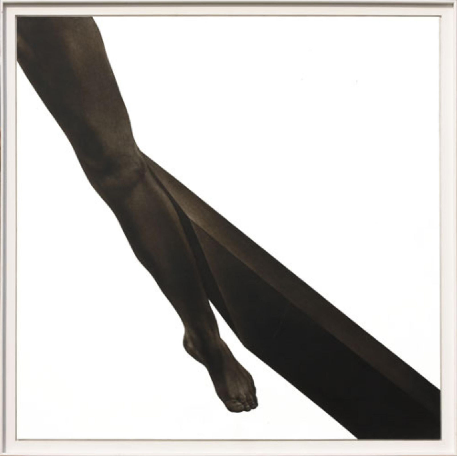 Rameshwar Broota, Proximity, 2008