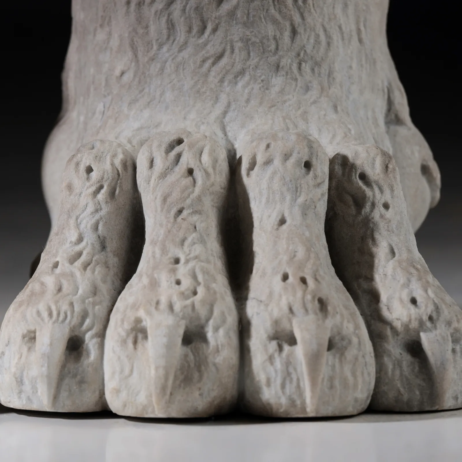 Lion paws , XIX century