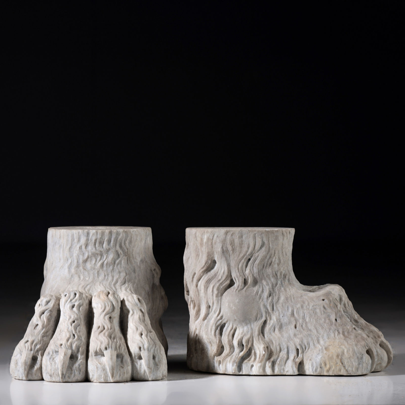 Lion paws , XIX century