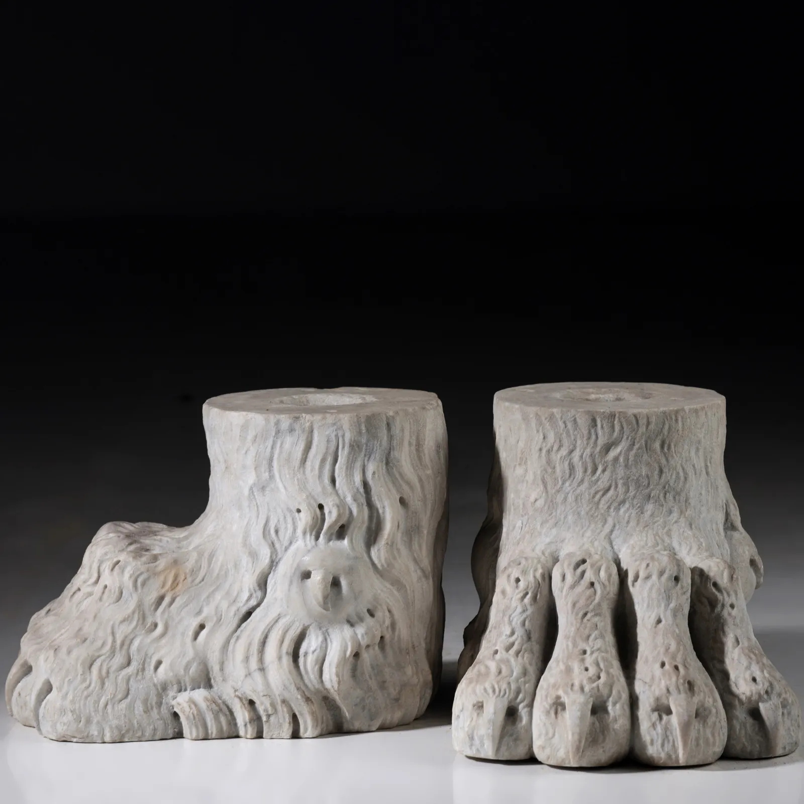 Lion paws , XIX century