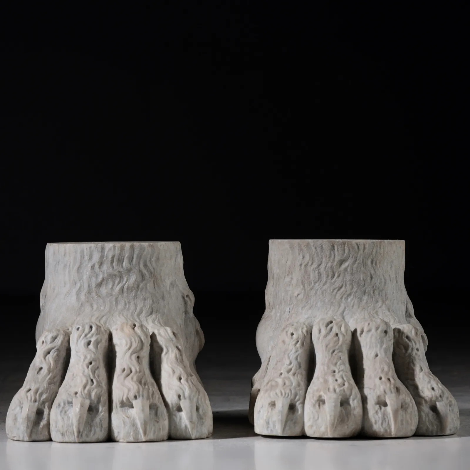Lion paws , XIX century
