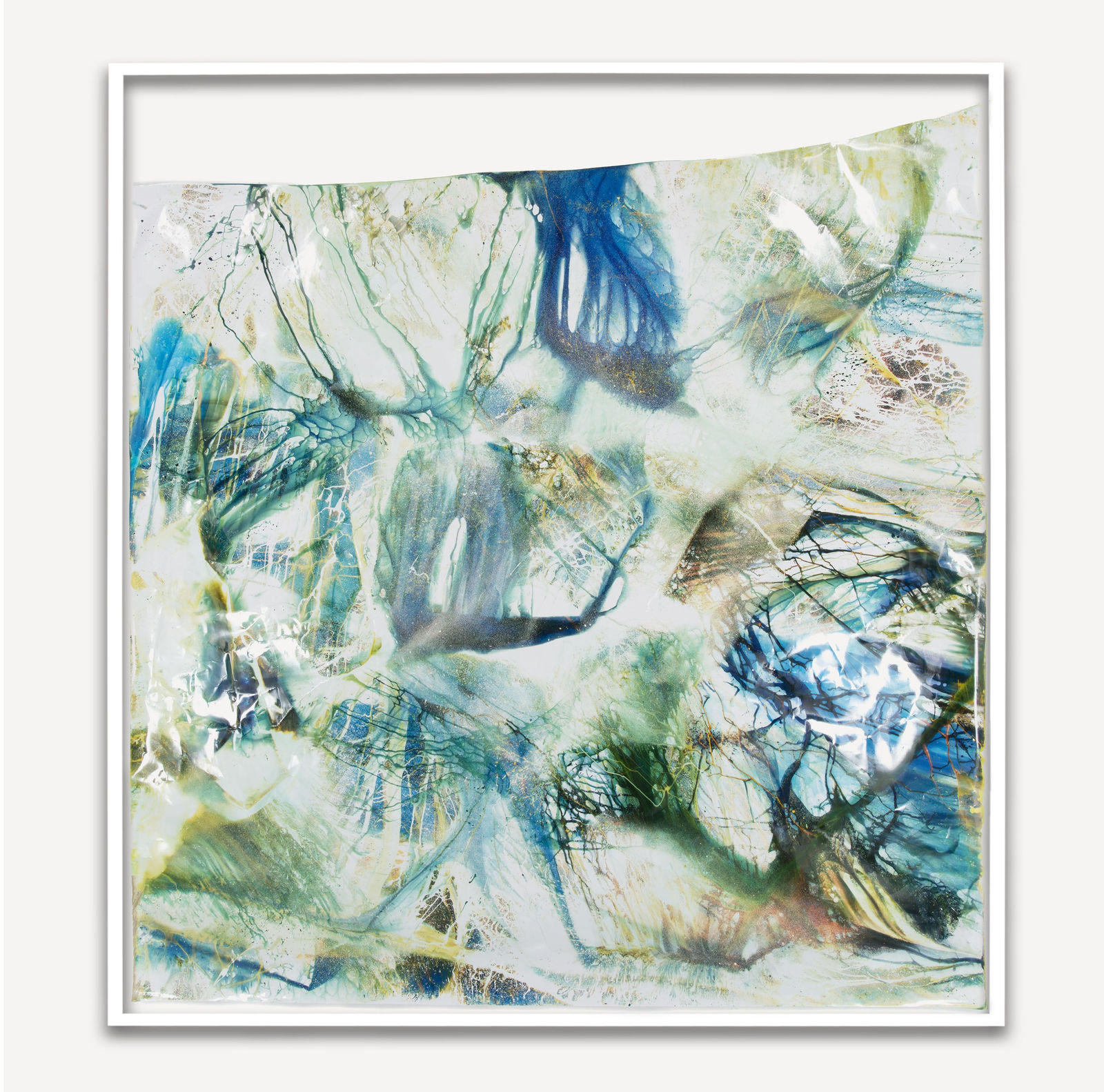 Mariah Robertson, 310, 2016