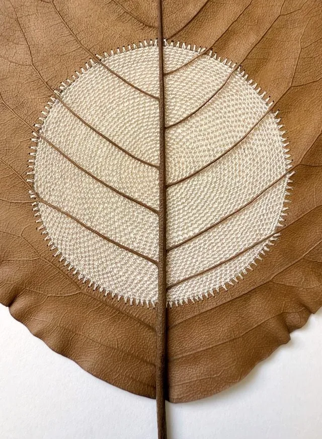 Susanna Bauer, Moon.83, 2025