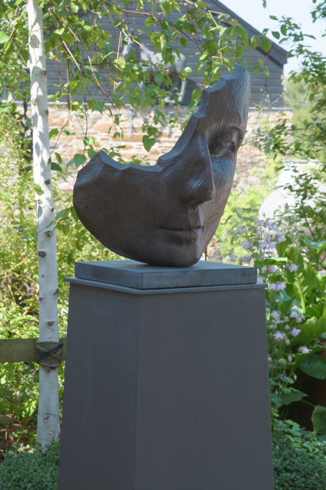 Jilly Sutton, Wistful Wood, 2022