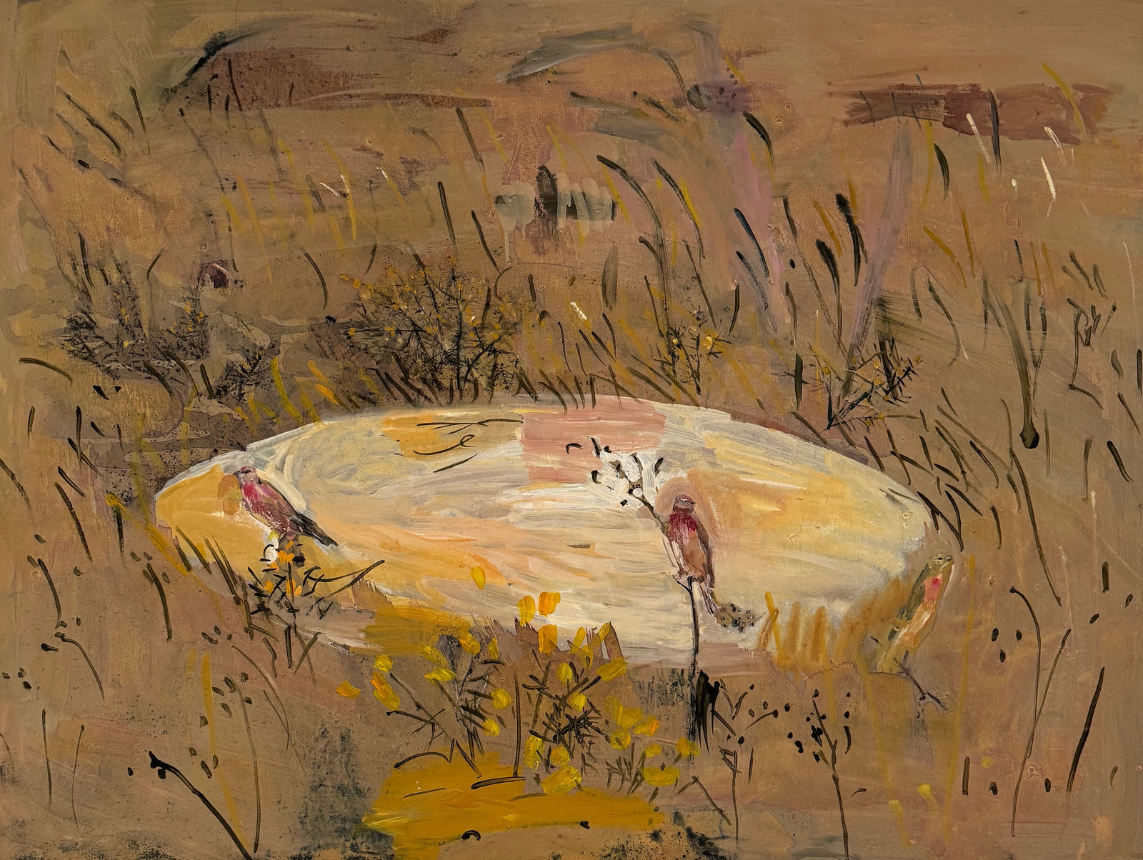 Frances Gynn RWA, Linnets and Gorse, 2023
