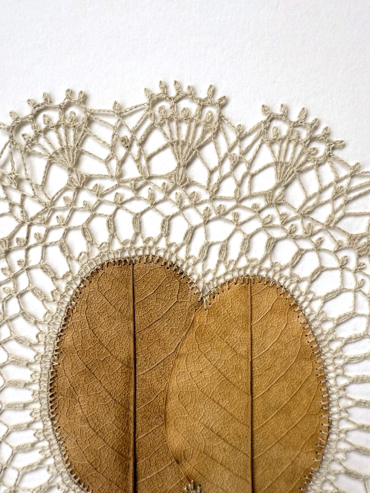 Susanna Bauer, Rays, 2025