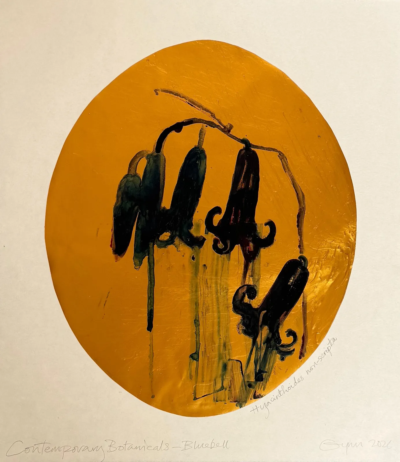 Frances Gynn RWA, Contemporary Botanicals Bluebell Study, 2026