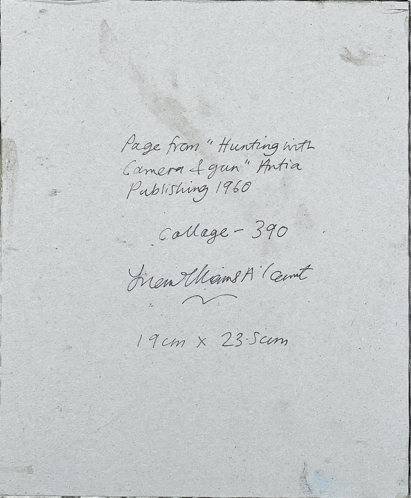 Sue Williams A'Court art for sale