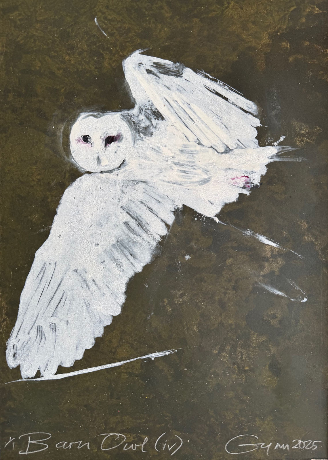 Frances Gynn RWA, Barn Owl (IV), 2025