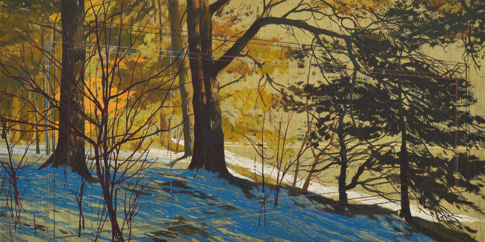 Andrew Mackenzie, Within Trees, 2025