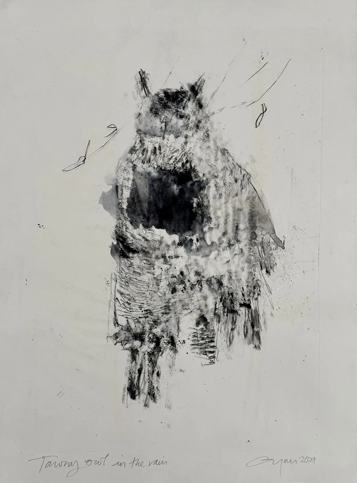 Frances Gynn RWA, Tawny Owl in the Rain, 2023