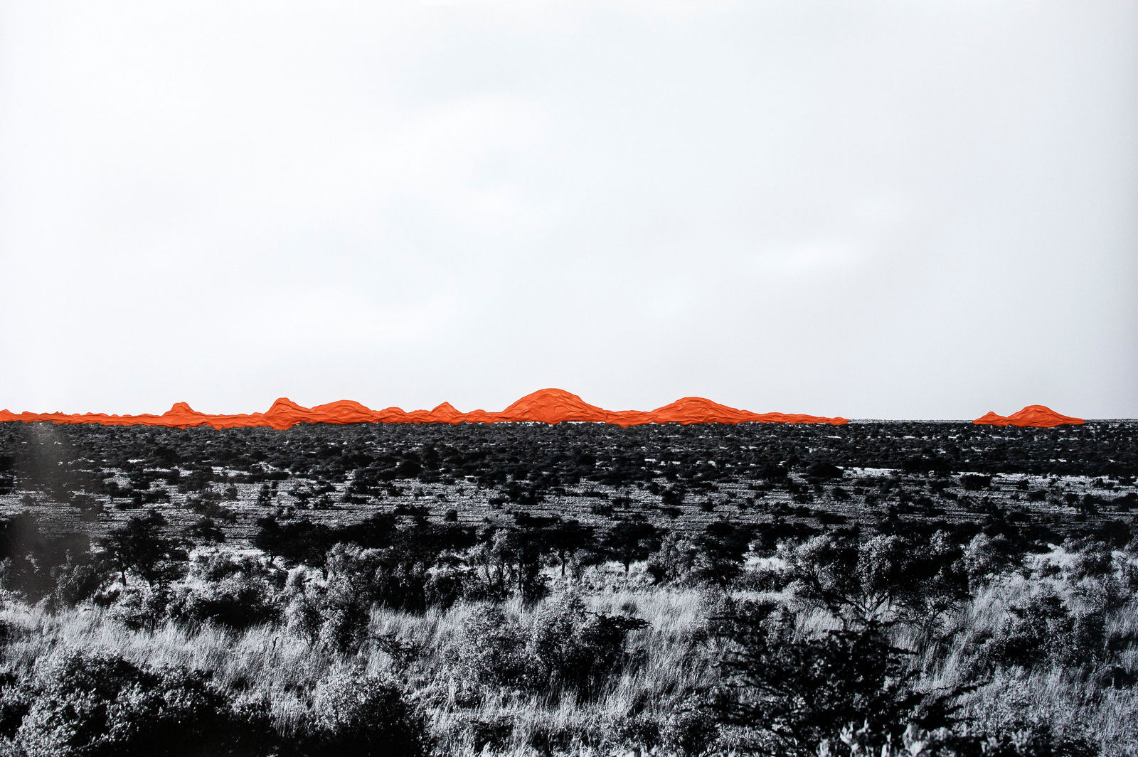 Orange Horizon , 2020