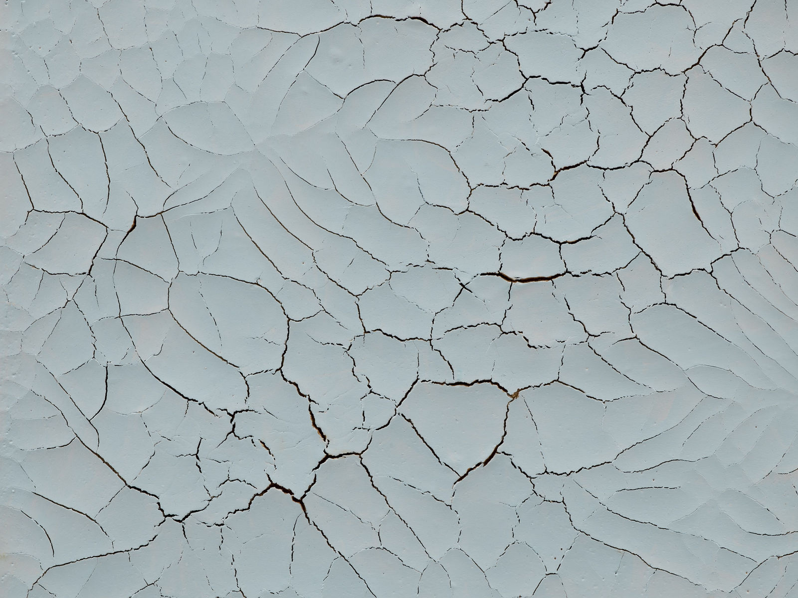 Adriana Varejão, Macau Wall (Blue) 11, 2001