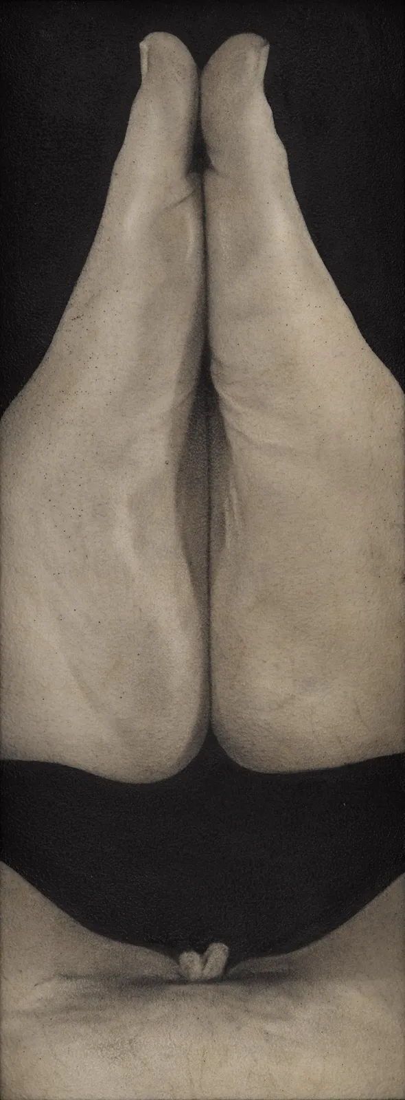 Saskia Colwell, Praise the Lord, 2024