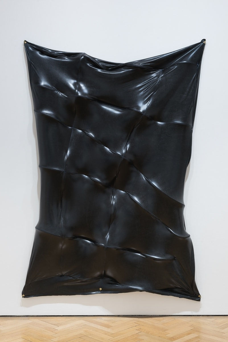 Isabel Yellin, A Thicker Skin, 2015