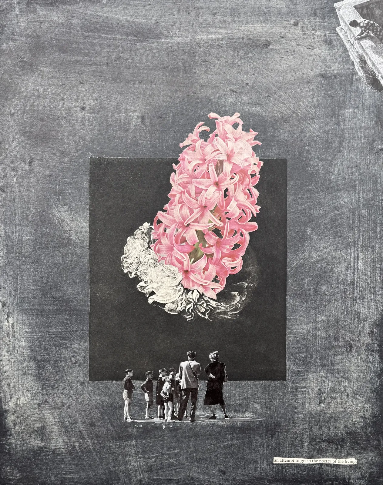 Andrew Hewish, An attempt to grasp the poetry of the living, 2026