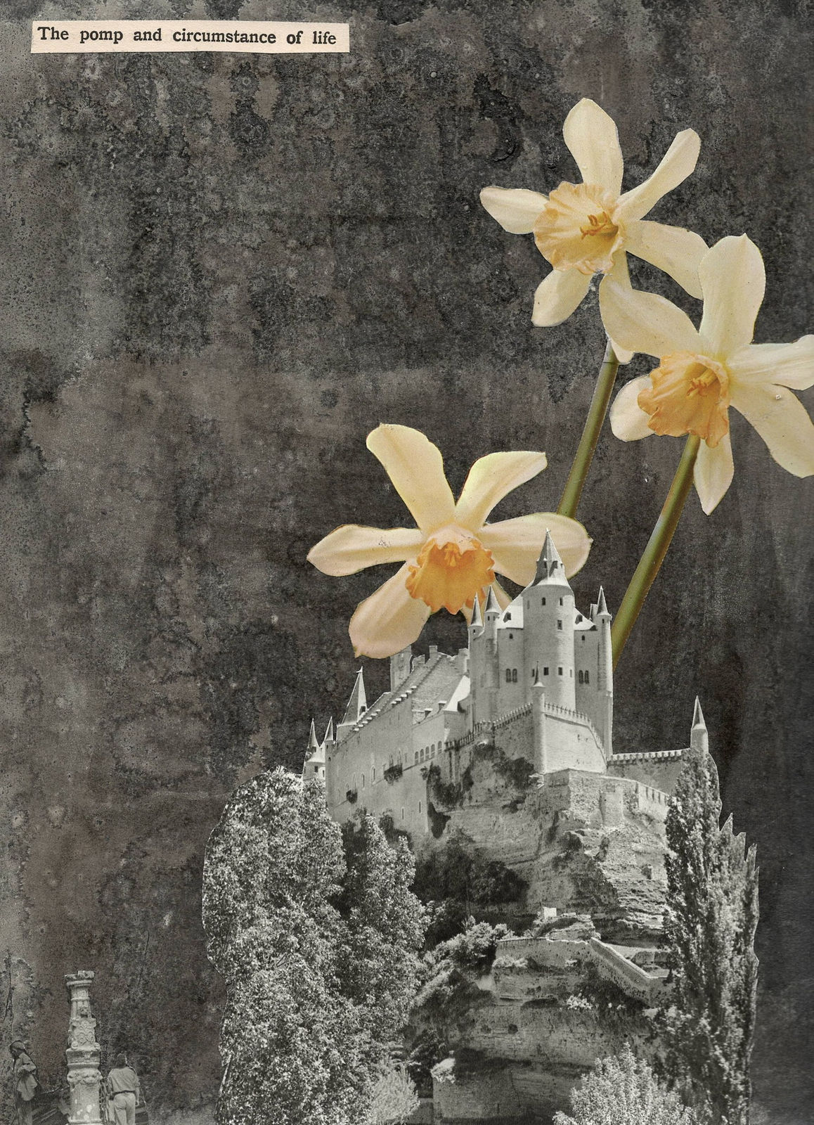 Andrew Hewish, The Pomp and Circumstance of Life, 2025