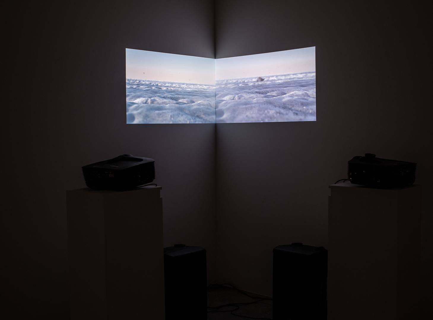 Hannah Quinlan and Rosie Hastings, If These Fossils Could Talk They Would Tell You Who Got Fucked and Who Didn’t, 2015