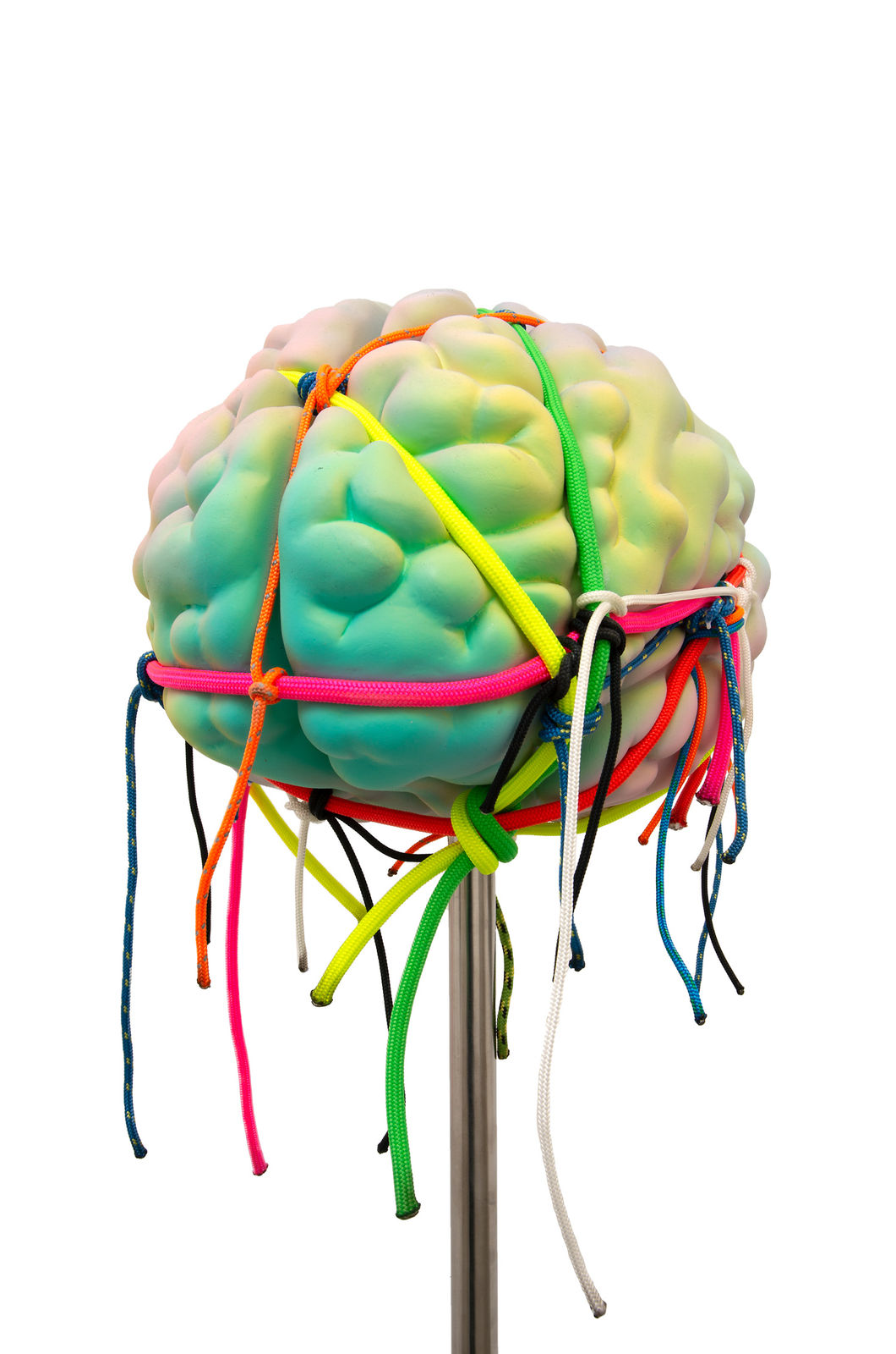 Ashley Bickerton, Brain Statue (Small Size), 2020