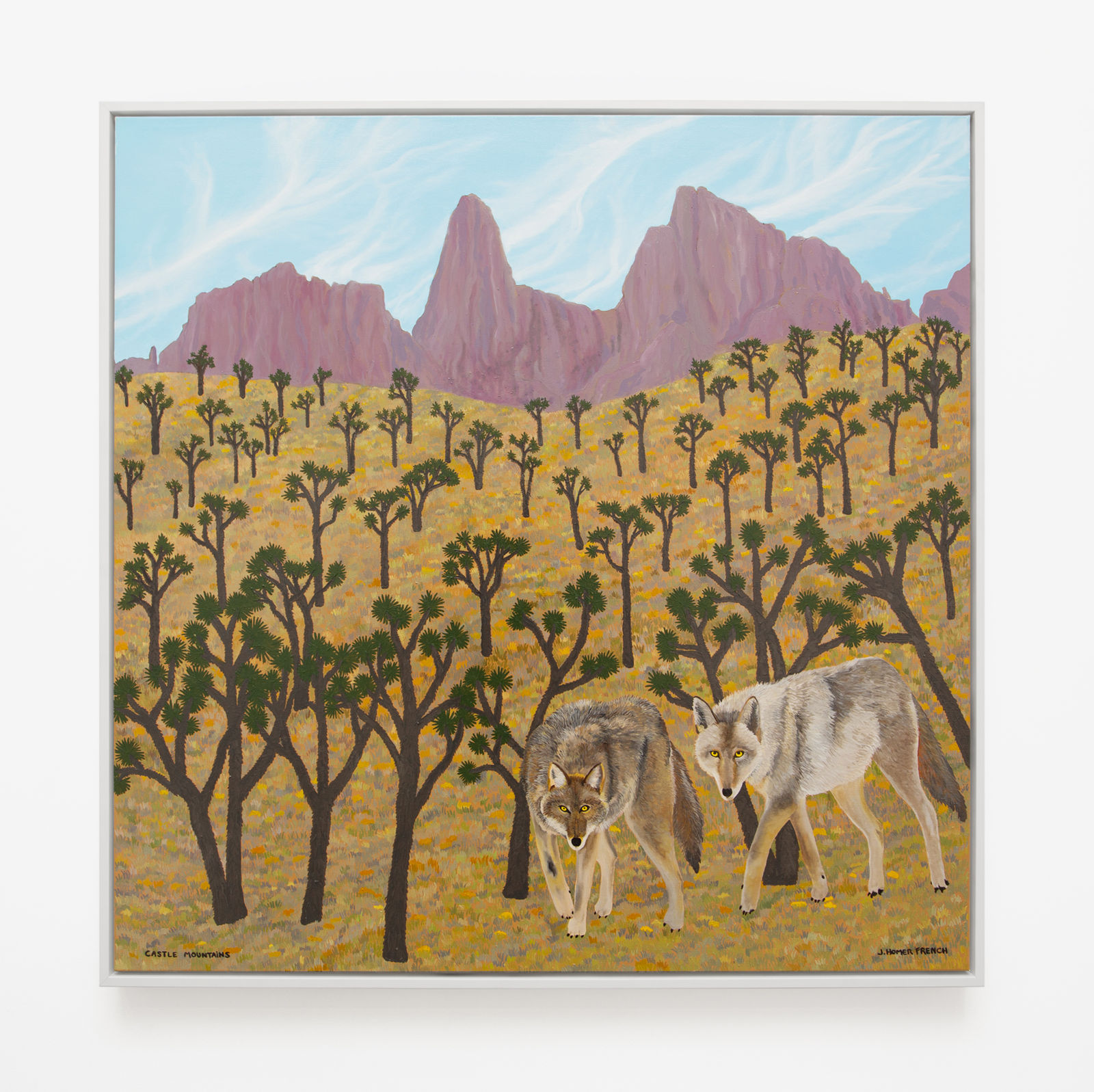 Jessie Homer French, Castle Mountains, 2016