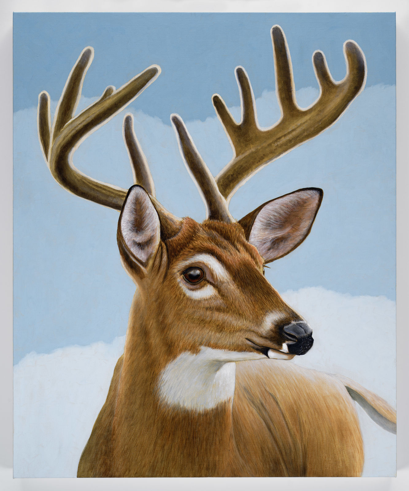 Sean Landers, Whitetail Deer, 2022