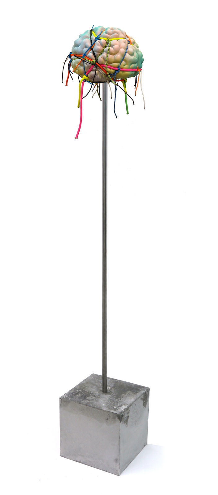 Ashley Bickerton, Brain Statue (Small Size), 2020