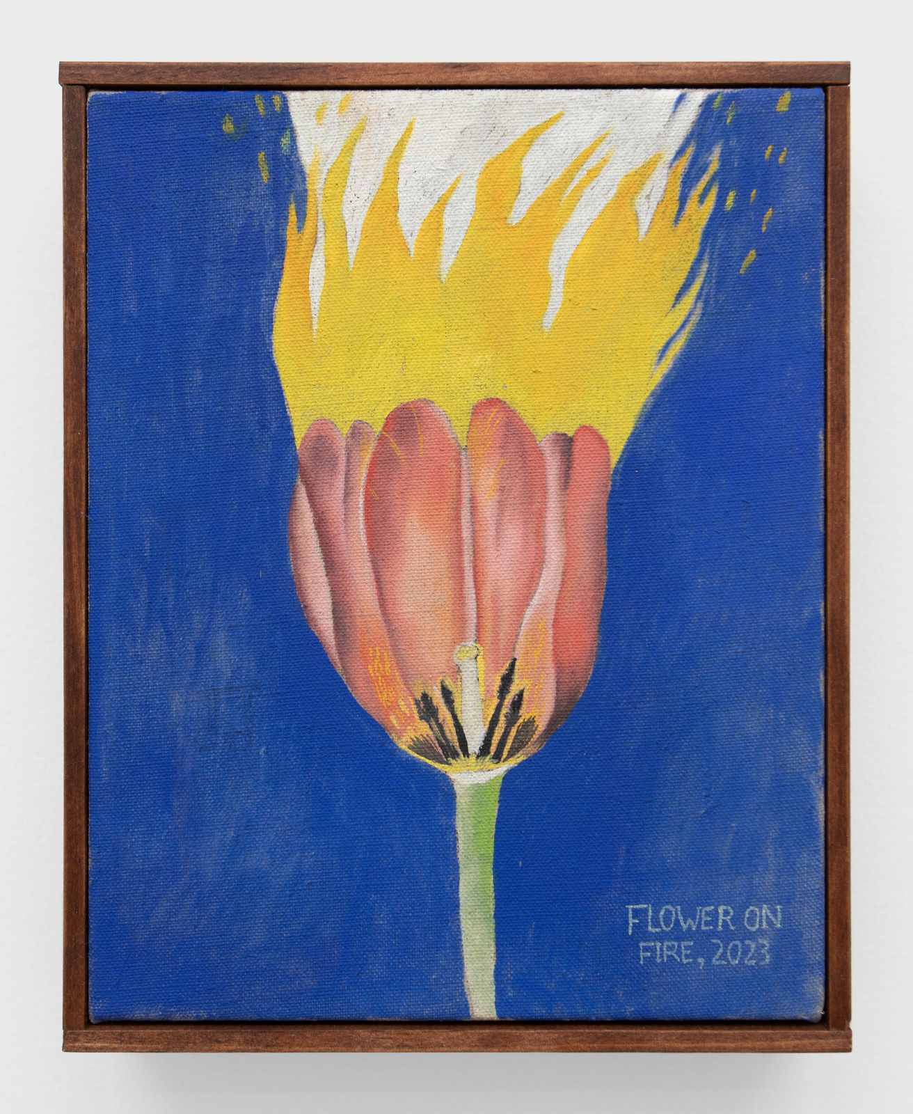 Michael Hilsman, Flower On Fire, 2023