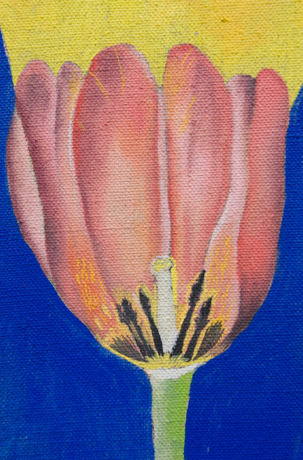 Michael Hilsman, Flower On Fire, 2023